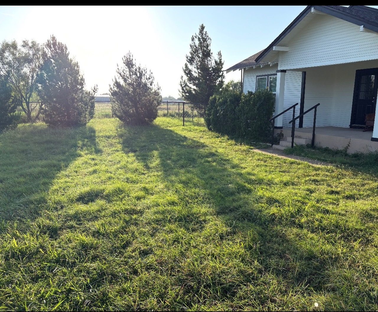 Ranch yard before mowing, second angle